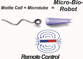 Illustration for article titled Scientists have created remote controlled cyborg sperm